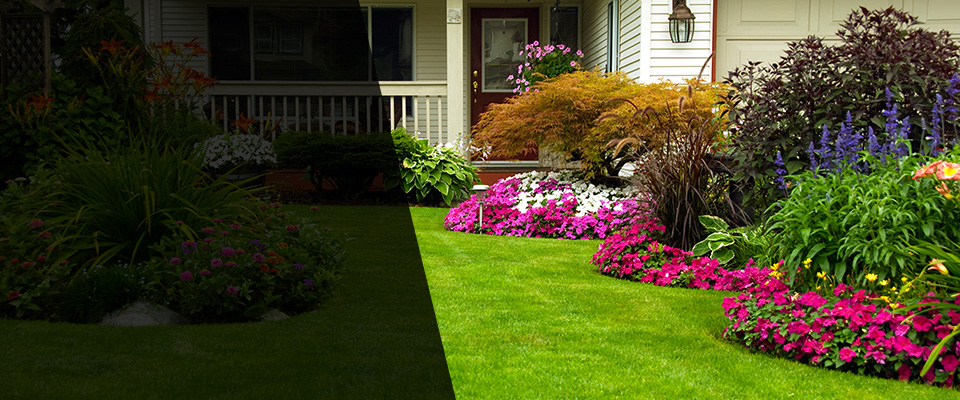 Olean Landscapers