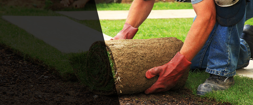 Olean Landscapers